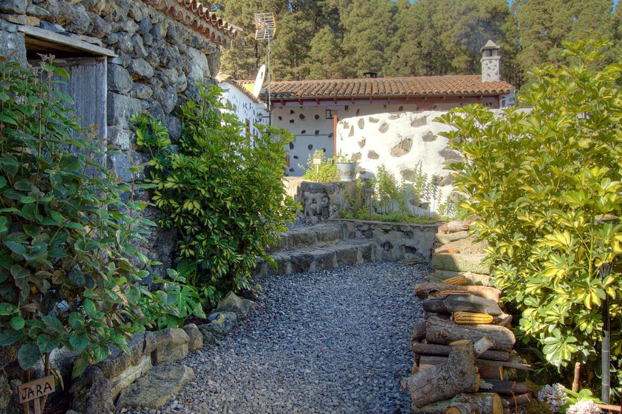 Hostal Casa Montiel Icod De Los Vinos Exterior foto