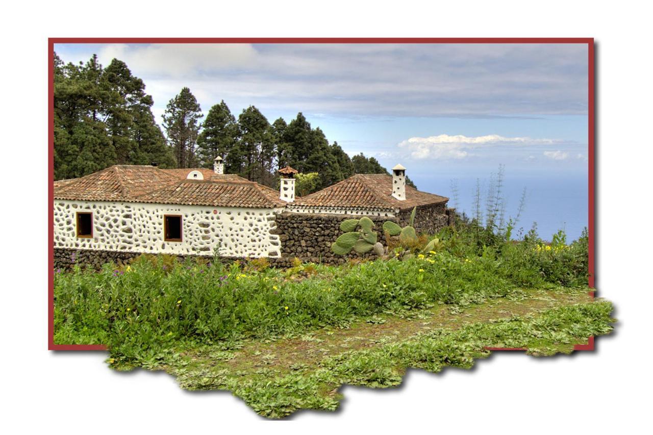 Hostal Casa Montiel Icod De Los Vinos Exterior foto